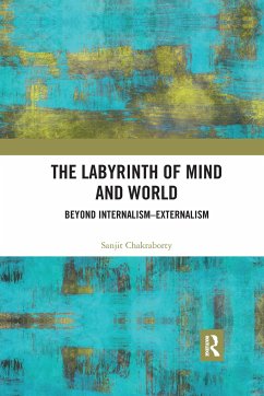 The Labyrinth of Mind and World - Chakraborty, Sanjit