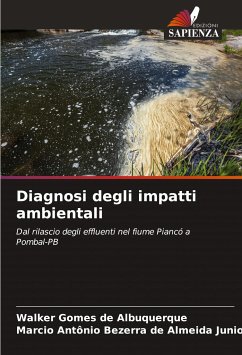 Diagnosi degli impatti ambientali - Gomes de Albuquerque, Walker;B. de Almeida Junior, M. A.