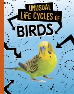Unusual Life Cycles of Birds - Jaycox, Jaclyn