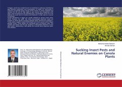 Sucking Insect Pests and Natural Enemies on Canola Plants - Abdel-Raheem, Mohamed;Salman, Ahmed