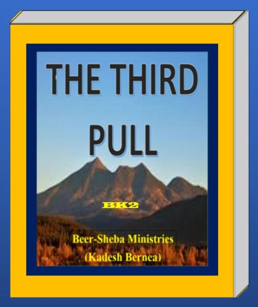 The Third Pull BK2 (eBook, ePUB) The Third Pull BK2 (eBook, ePUB)