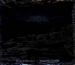 Uwodzenie-Waterduction - Warsaw Village Band