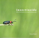 Insectinside Insectinside