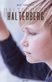 Halterberg. Spannender Entwicklungsroman: Kann das Kindheitstrauma überwunden werden? Familiengeschichte in den 60er- und 70er Jahren geschickt mit der Gegenwart verwoben