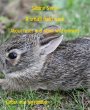 A small field hare (eBook, ePUB) - Bild 1