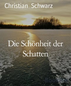 Die Schönheit der Schatten (eBook, ePUB) - Schwarz, Christian