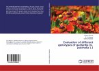 Evaluation of different genotypes of gaillardia (G. pulchella L.)