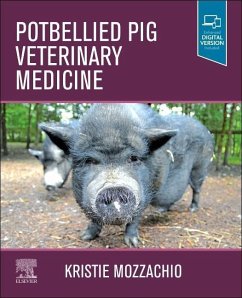 Potbellied Pig Veterinary Medicine - Mozzachio, Kristie