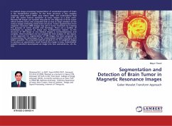 Segmentation and Detection of Brain Tumor in Magnetic Resonance Images - Tiwari, Mayur