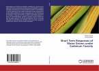 Short Term Responses of Maize Grown under Cadmium Toxicity