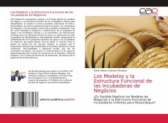 Los Modelos y la Estructura Funcional de las Incubadoras de Negócios - Mendoso, César Alferes Caetano