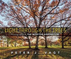 Light Through the Trees - Vagt, Peter J