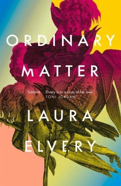 Ordinary Matter - Elvery, Laura
