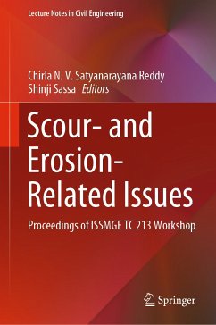 Scour- and Erosion-Related Issues (eBook, PDF)