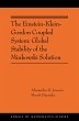 The Einstein-Klein-Gordon Coupled System - Bild 1
