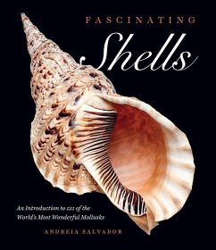 Fascinating Shells - Salvador, Andreia