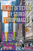 Object Detection by Stereo Vision Images