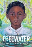 Freewater (eBook, ePUB)