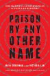 Prison by Any Other Name (eBook, ePUB) - Bild 1