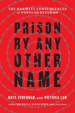Prison by Any Other Name (eBook, ePUB)