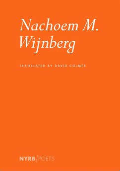 Nachoem M. Wijnberg (eBook, ePUB) - Wijnberg, Nachoem M.