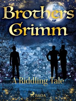 Cover A Riddling Tale (eBook, ePUB)