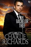 The Bachelor Thief (A Paranormal's Love, #28) (eBook, ePUB)