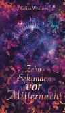 Zehn Sekunden vor Mitternacht (eBook, ePUB)