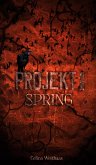 Spring - Projekt I (eBook, ePUB)