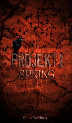 Spring - Projekt I (eBook, ePUB) - Weithaas, Celina