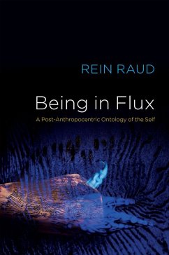 Being in Flux (eBook, ePUB) - Raud, Rein