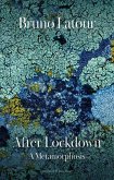 After Lockdown (eBook, ePUB)