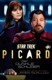 Star Trek - Picard 2 (eBook, ePUB)