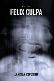 Felix Culpa (eBook, ePUB)