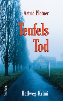 Teufels Tod (eBook, ePUB) - Plötner, Astrid