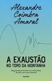 A exaustão no topo da montanha (eBook, ePUB)