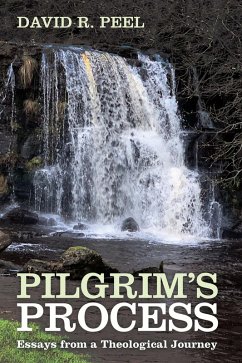 Pilgrim's Process (eBook, ePUB)