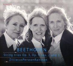 Streichtrios - Zilliacus/Persson/Raitinen