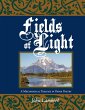 Fields of Light (eBook, ePUB) - Bild 1