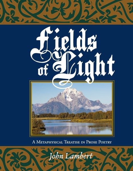 Fields of Light (eBook, ePUB)
