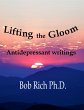 Lifting the Gloom (eBook, ePUB) - Bild 1