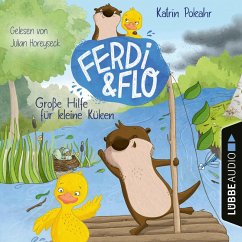 Cover Große Hilfe für kleine Küken (MP3-Download)