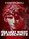 The Last Night At Auschwitz (eBook, ePUB)