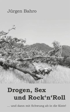 Drogen, Sex und Rock'n'Roll (eBook, ePUB)