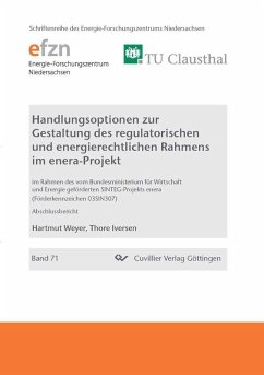 Handlungsoptionen zur Gestaltung des regulatorischen und energierechtlichen Rahmens im enera-Projekt (eBook, PDF)