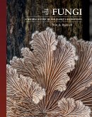 The Lives of Fungi (eBook, PDF)