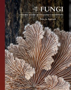 The Lives of Fungi (eBook, PDF) - Bunyard, Britt A.
