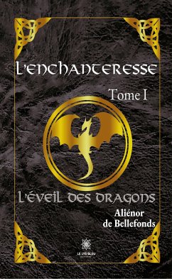 L’enchanteresse - Tome I (eBook, ePUB) - de Bellefonds, Aliénor