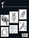 Birds Coloring Book