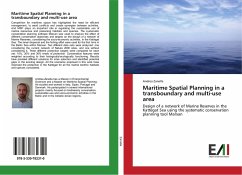 Maritime Spatial Planning in a transboundary and multi-use area